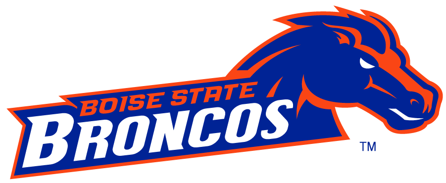 Boise State Broncos 2002-2012 Secondary Logo v28 diy DTF decal sticker